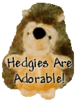 Hedgies Are Adorable!