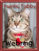 Purrific Tabby Cat Webring