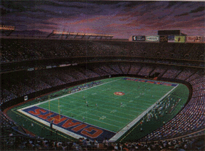 NY Giant's Stadium (47744 bytes)