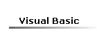 Visual Basic