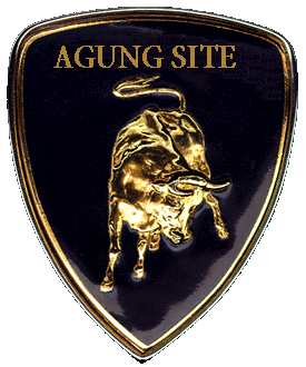 agung.jpg