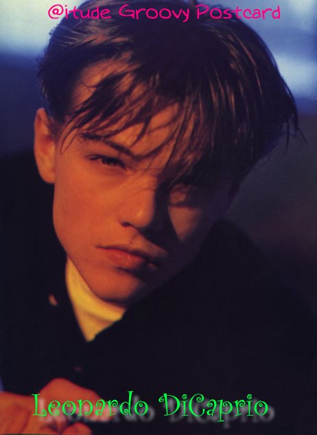 Leonardo Dicaprio Postcard