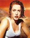 gillian anderson