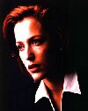 gillian anderson