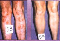 sample1.jpg (12496 bytes)