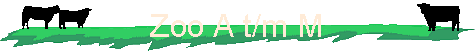 Zoo A t/m M