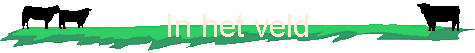 In het veld