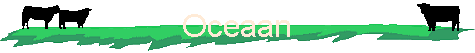 Oceaan