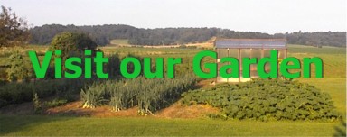 Visit our Garden a t http://joes_garden.tripod.com/