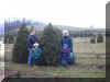 2002xmastree2.jpg (189134 bytes)