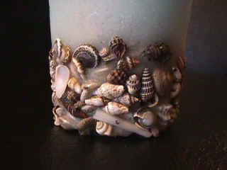 MVC-010F.JPG (41785 bytes)