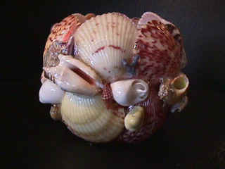 MVC-011F.JPG (39859 bytes)