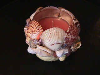 MVC-012F.JPG (37239 bytes)