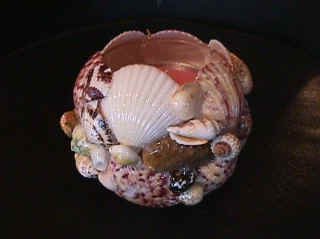 MVC-013F.JPG (38159 bytes)