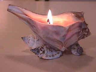 MVC-002F.JPG (34324 bytes)