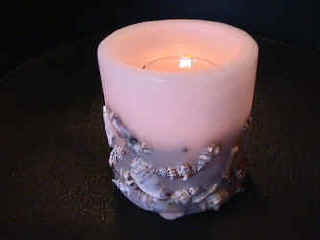 MVC-007F.JPG (31573 bytes)