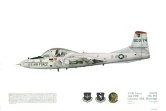  No 113, T-38B Tweet, 8 FTS, USAF