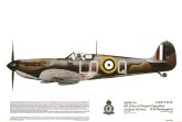 No 137, Spitfire IA,  602 Sqn, RAF