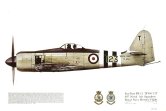 No 162, Sea Fury FB.11, 807 Sqn, RN