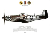 No 171, P-51D Mustang, 84FS, 78FG, USAAF