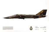 No 281F-111C, 1 Sqn RAAF