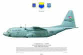 No 585, C130E Hercules, 43AW.