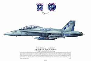 No 599, F/A-18D Hornet, VMFA[AW]-533.