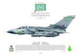 No 609, Tornado GR4, IX[B] Sqn.