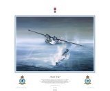 Arctic Cat, Wings Edition Print