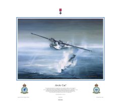 Wing Editions-Arctic Cat