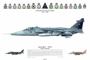 No Sp65, Jaguar GR1A, 25th Anniversary.