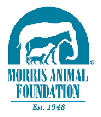 The Morris Foundation