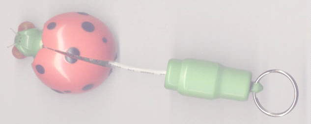 KY100.jpg (40296 bytes)