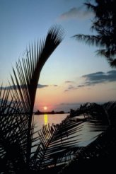 csi.jpg - 26659 Bytes