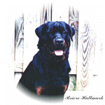 BRIERE1s.jpg (24431 bytes)