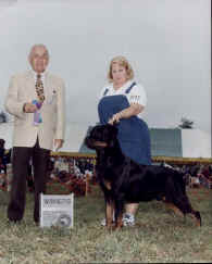 Hugowin3.jpg (24667 bytes)