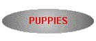 PUPPIES