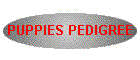PUPPIES PEDIGREE