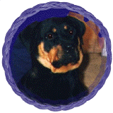 april9.jpg (25918 bytes)