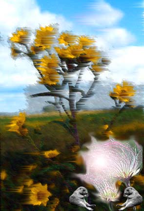 Anita.jpg (28992 bytes)