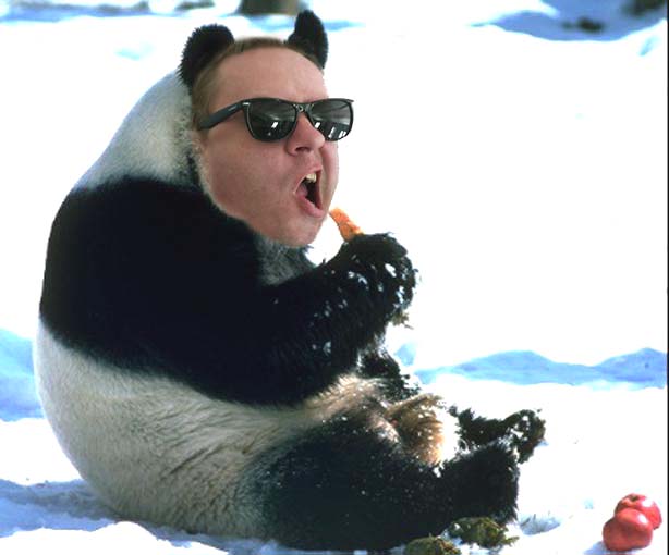 Yip Chan.jpg (32211 bytes)