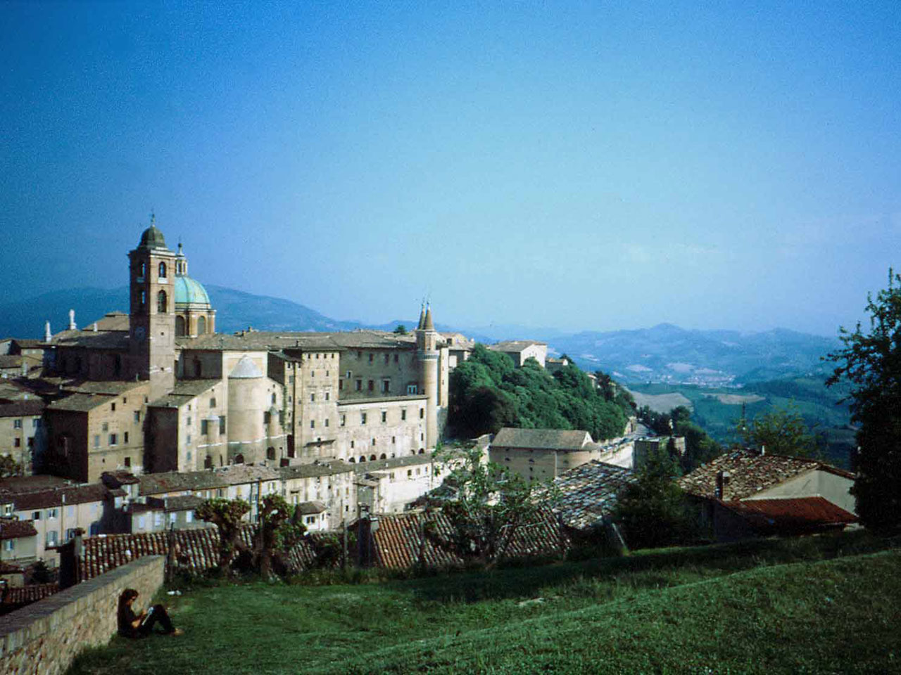 Urbino