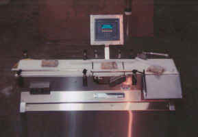 Checkweigher4.jpg (16704 bytes)