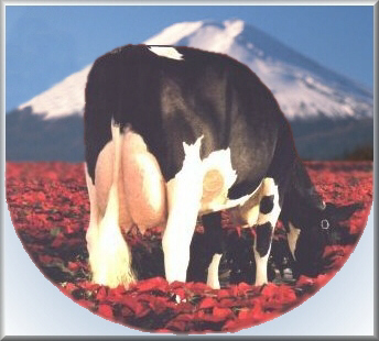 Click here to continue....