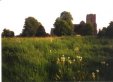 Kingsland village green, Herefordshire: postcards