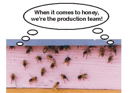 bees.jpg (34399 bytes)