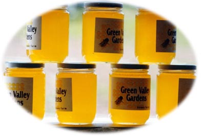 hnycrcl.jpg (16930 bytes)