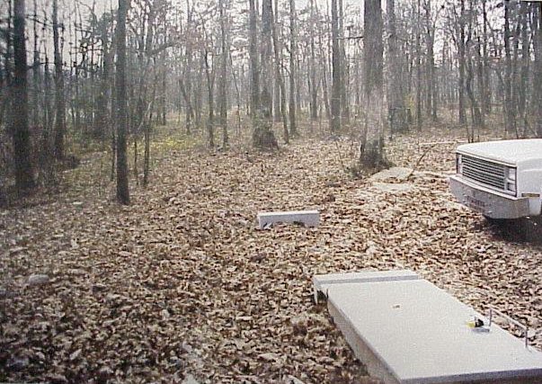 c005.jpg (105260 bytes)