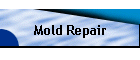 Mold Repair