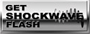 Shockwave Flash
